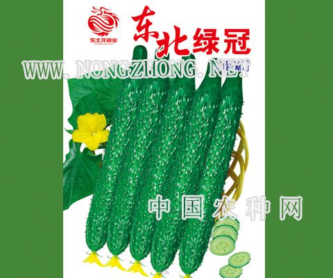 东北绿冠